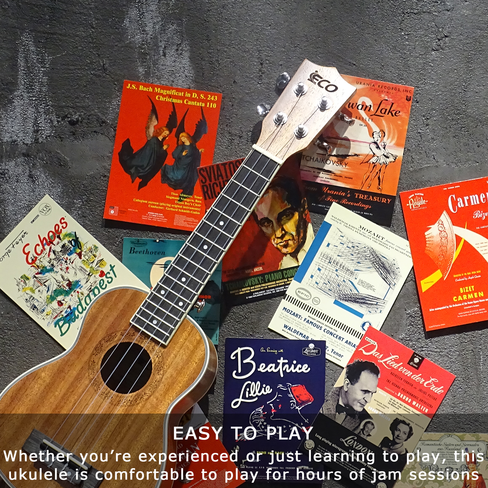 Soprano Ukulele Beginner Kit