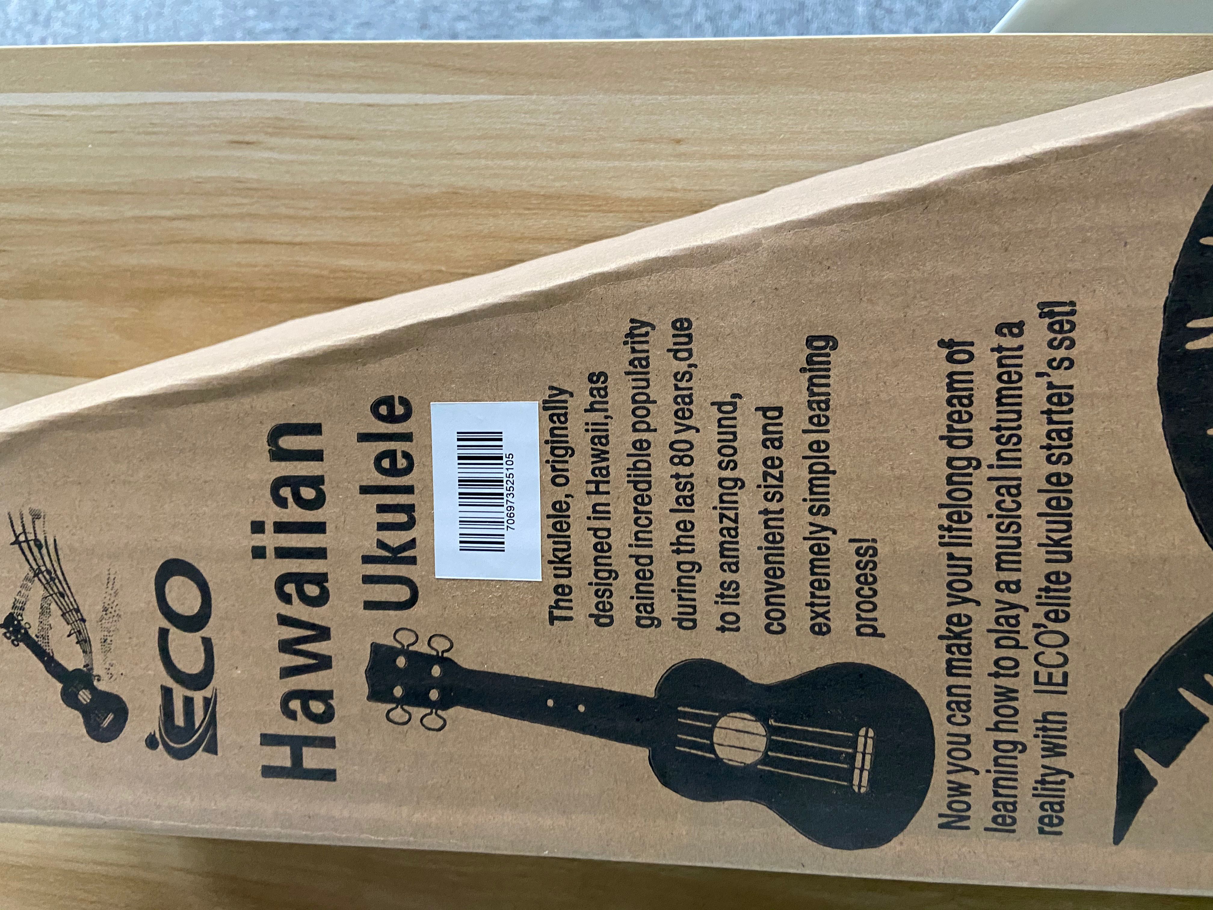 iECO Soprano Ukulele Beginner Kit - 副本